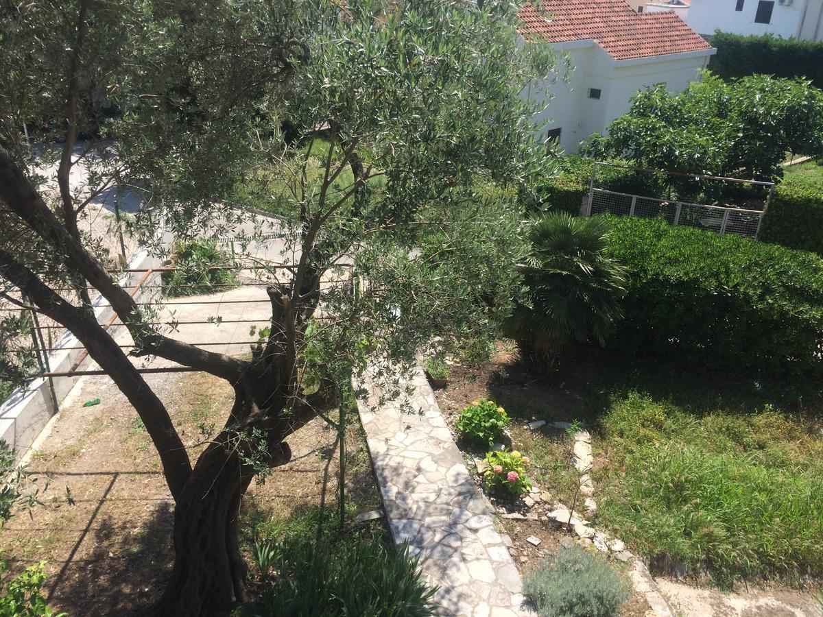 Apartments Mrvaljevic Petrovac エクステリア 写真