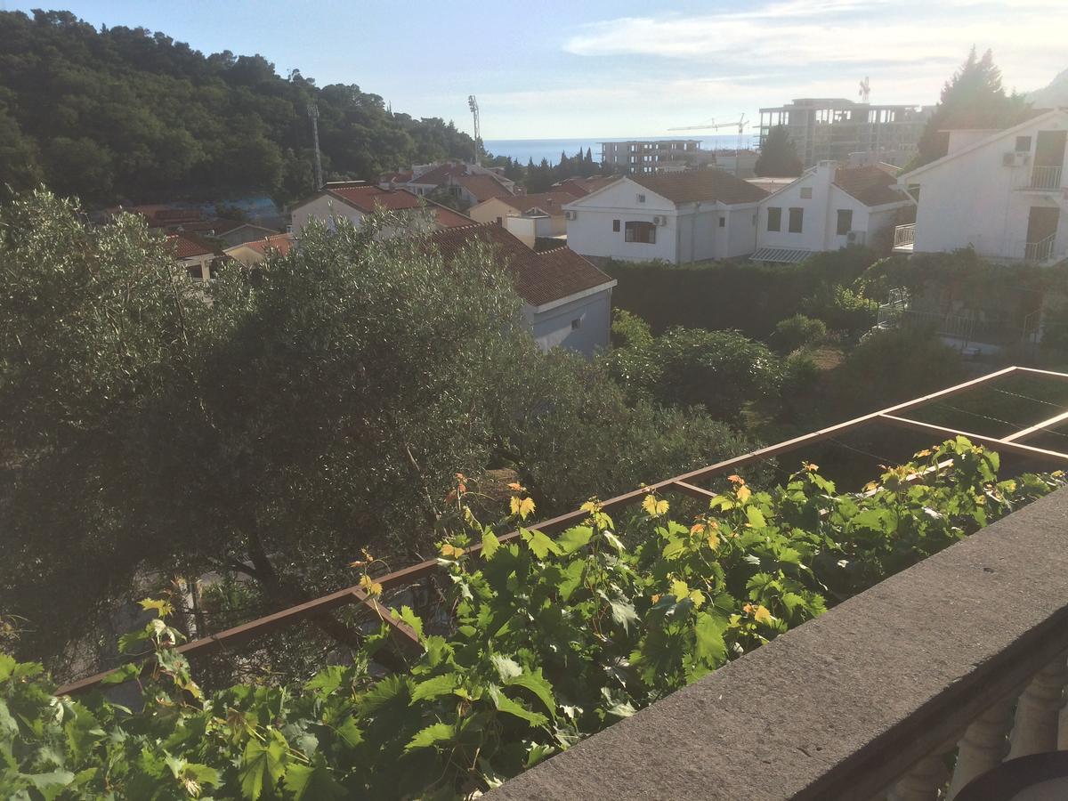 Apartments Mrvaljevic Petrovac エクステリア 写真