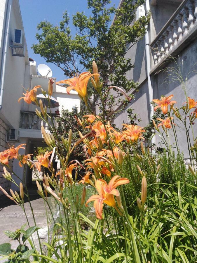 Apartments Mrvaljevic Petrovac エクステリア 写真