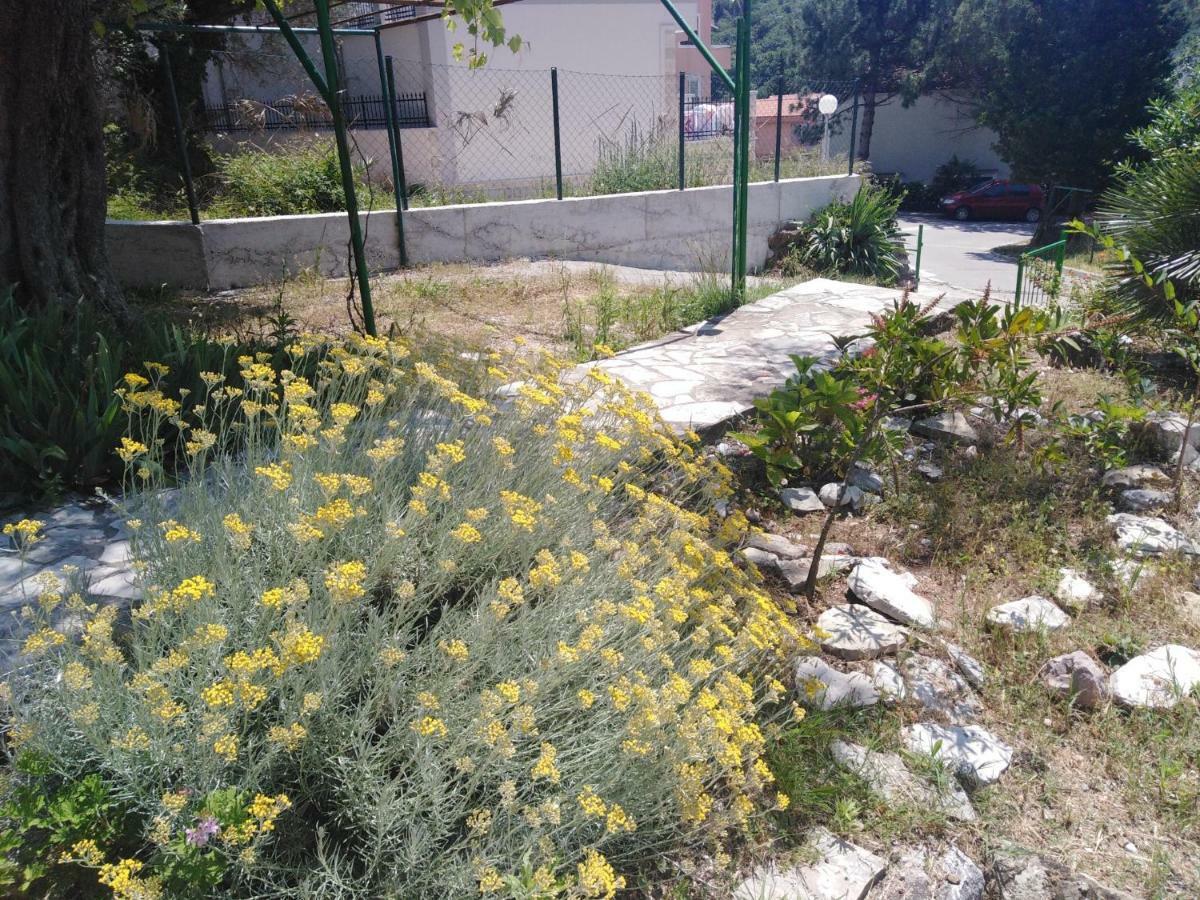 Apartments Mrvaljevic Petrovac エクステリア 写真