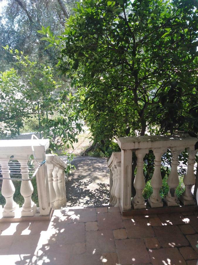 Apartments Mrvaljevic Petrovac エクステリア 写真