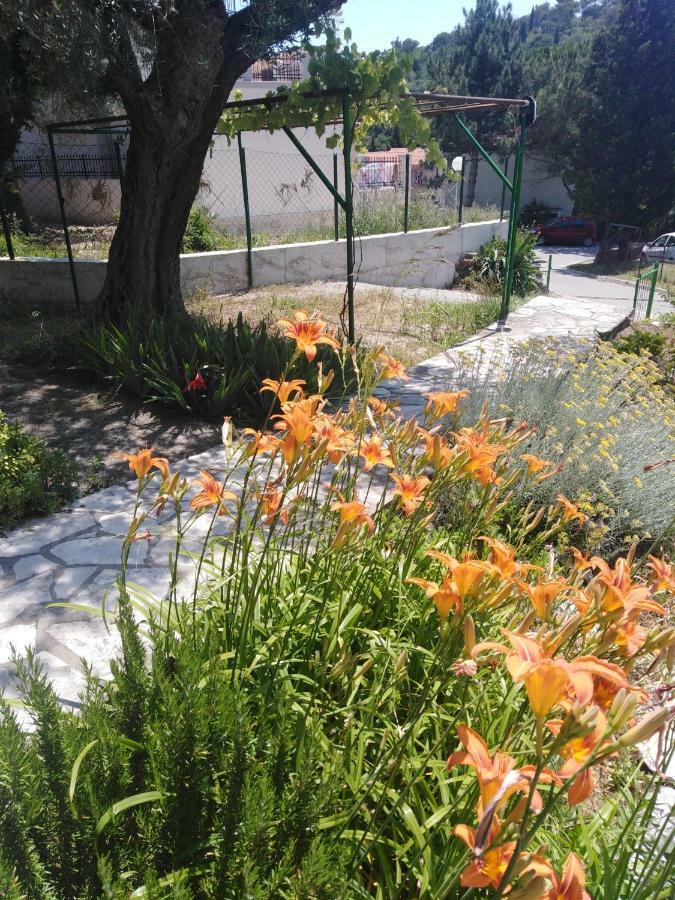 Apartments Mrvaljevic Petrovac エクステリア 写真